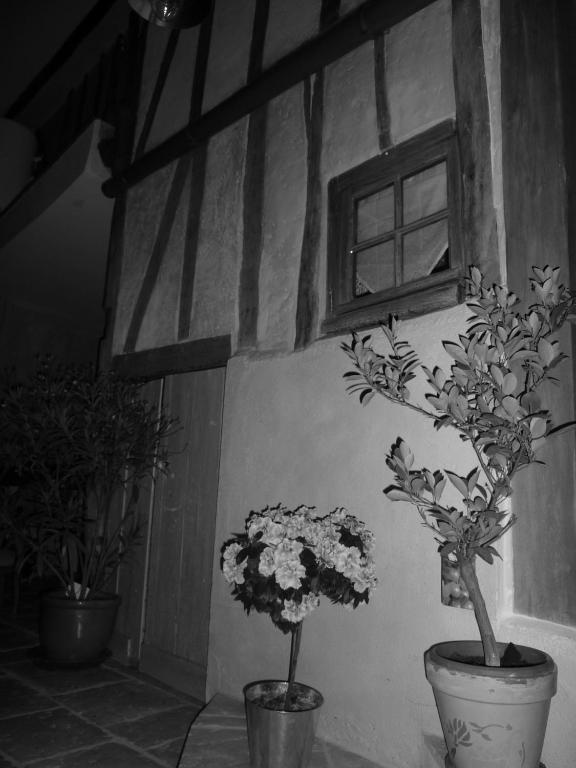 Les 5 Sens Bed & Breakfast Exterior photo